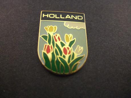 Souvenir Holland tulpen bollenvelden